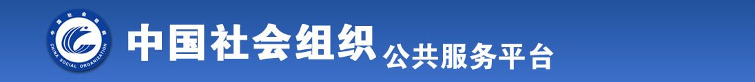 男生操女生视频网站入口全国社会组织信息查询